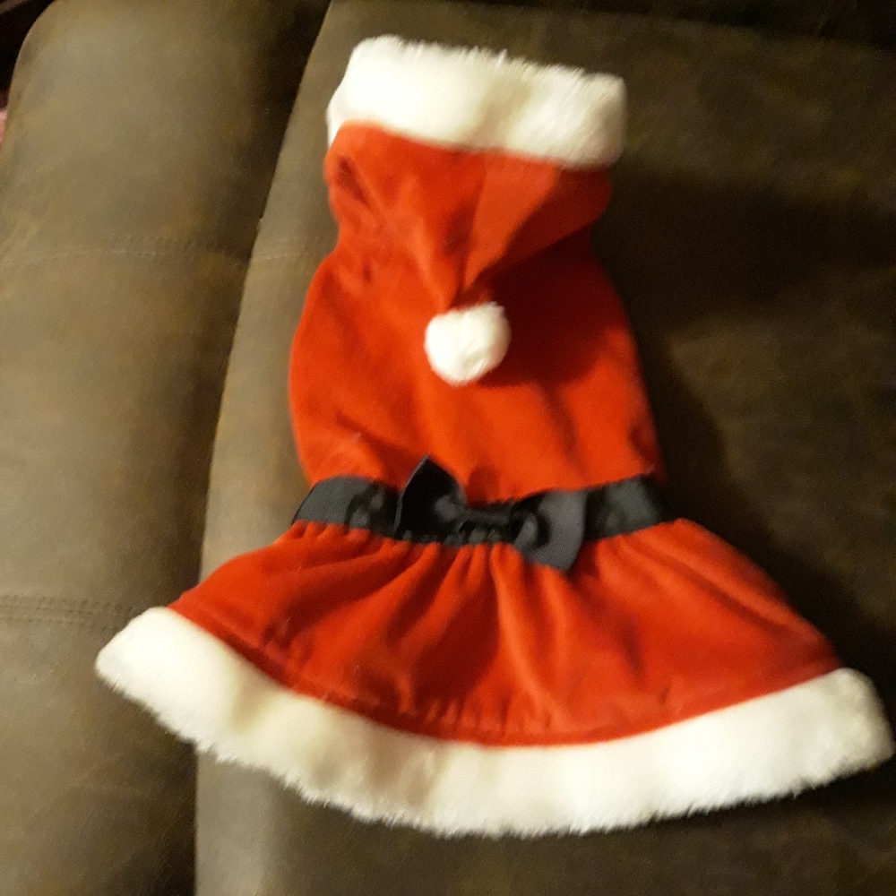 Lot of Dog clothes size small